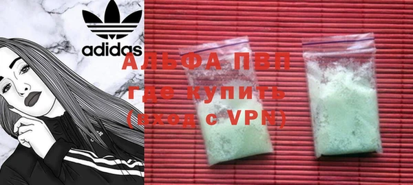индика Нефтекумск