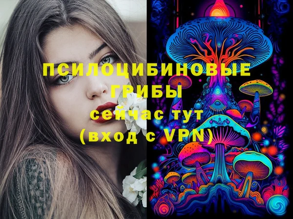 индика Нефтекумск