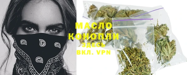 индика Нефтекумск