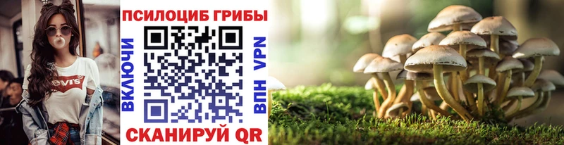 Псилоцибиновые грибы Cubensis  ОМГ ОМГ онион  Нестеров 